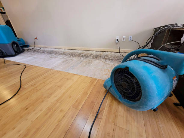 Professional Water Extraction technician working in Brooklin, ME